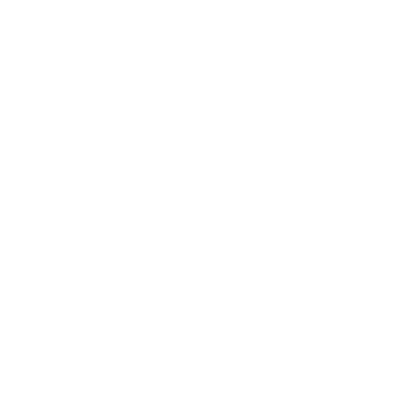 best astrologer in usa 